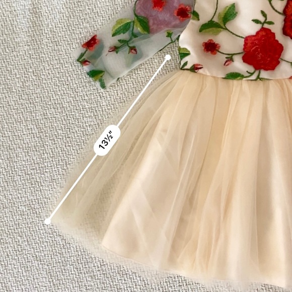 Toddler Girls Formal Holiday Christmas Floral Embroidery Mesh Gown Dress Size 4 - Picture 16 of 17